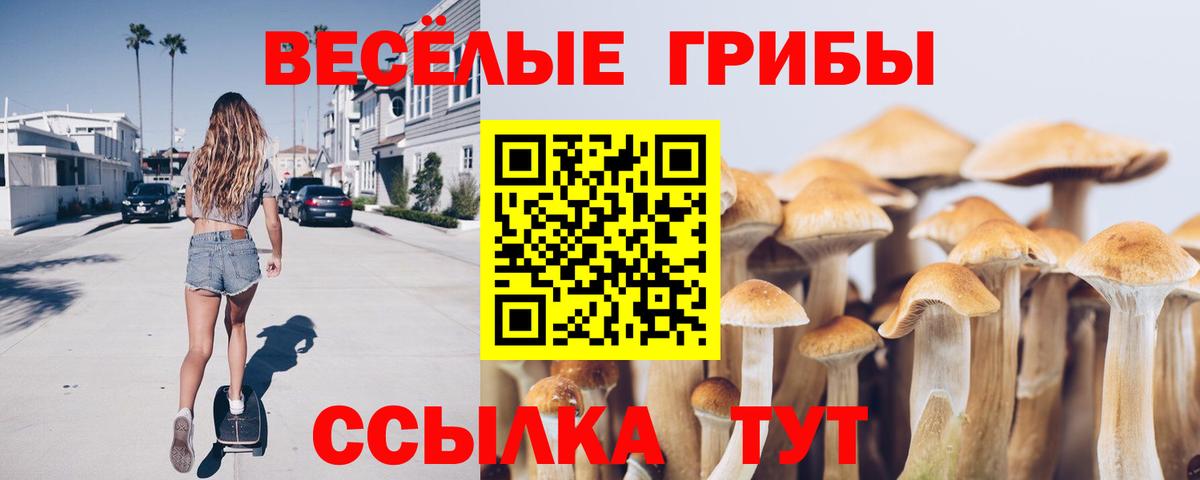 Псилоцибиновые грибы Psilocybe Орёл
